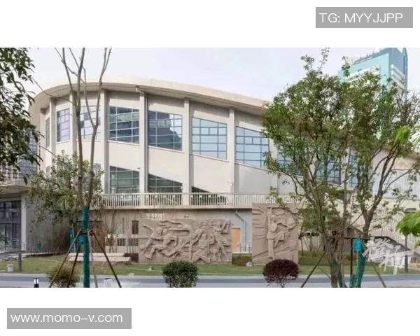 杭州网球队实力分析与未来发展潜力探讨