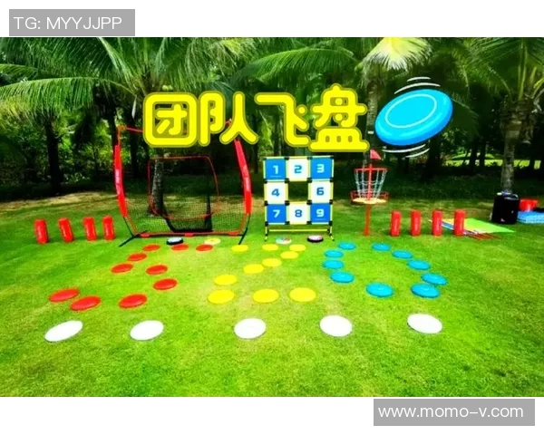 武汉飞盘队的意识探讨与发展：飞盘运动在城市文化中的新篇章