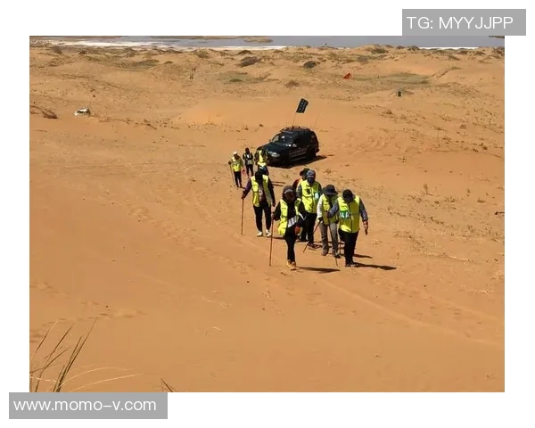 王芳攀岩人生的深度对话与挑战探索之旅
